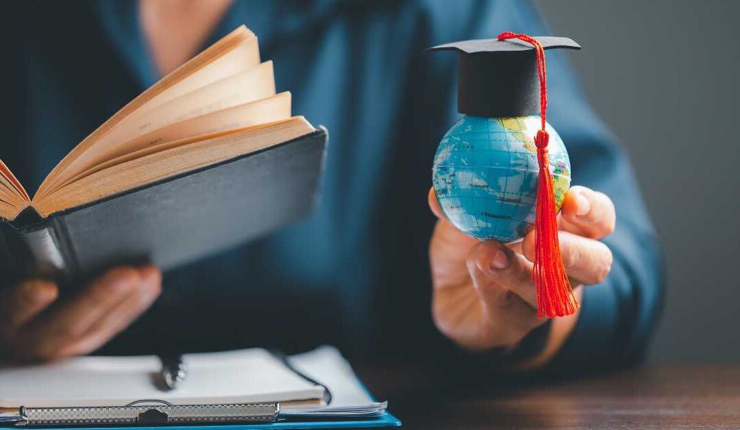 Top Five Skills You’ll Develop With an International Business Degree