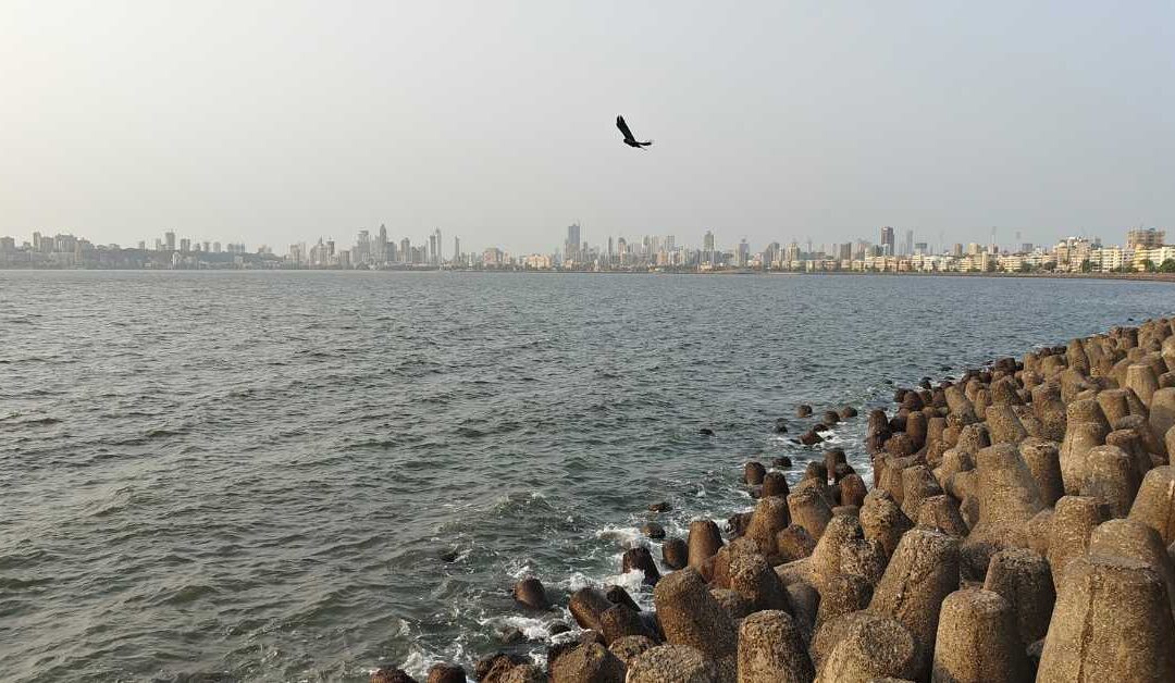 How a Master’s in Coastal and Marine Management Prepares You for Leadership in Environmental Policy