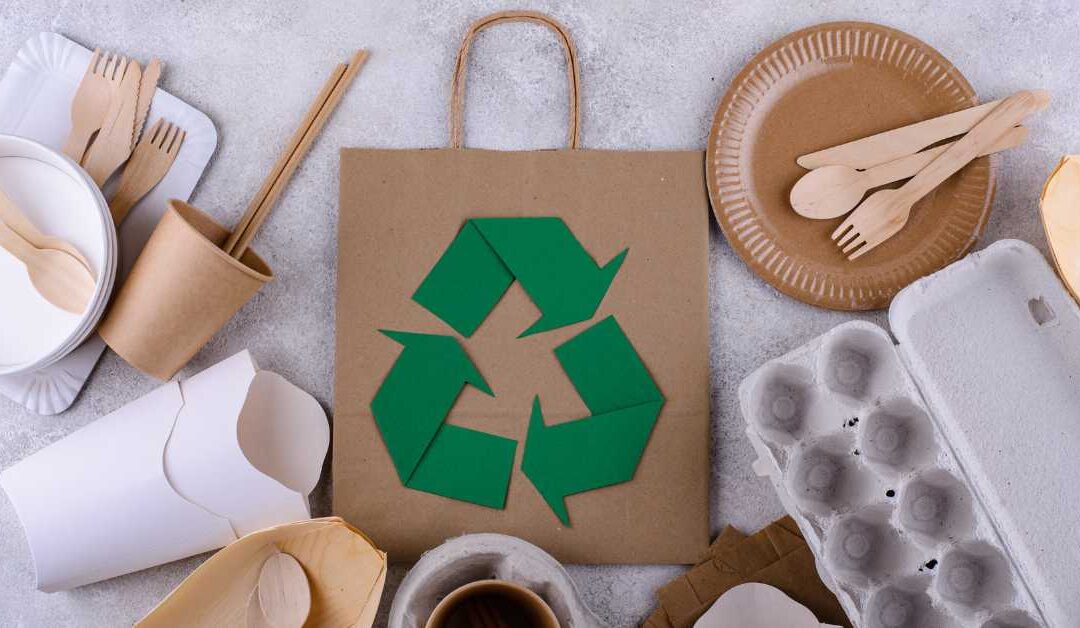 What Makes a Sustainability Degree More Valuable Than Ever?