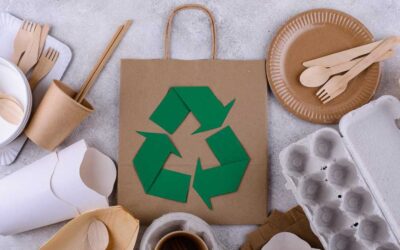 What Makes a Sustainability Degree More Valuable Than Ever?
